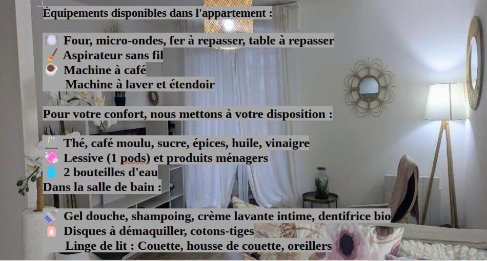 Apartment L'ecrin Joue-les-Tours